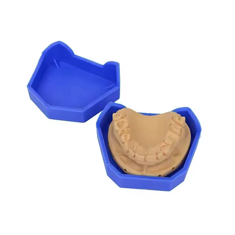 2/6Pcs Dental Modell Basis Sil – Teeth Whitening Tray Bewertung und Preis