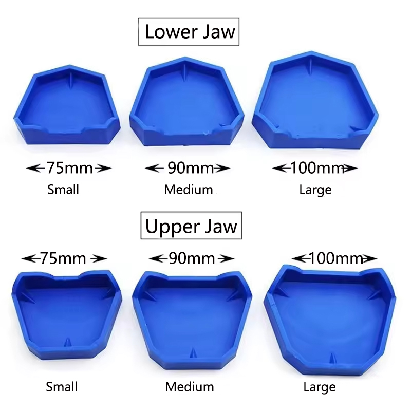 2/6Pcs Dental Modell Basis Sil – Teeth Whitening Tray Bewertung und Preis