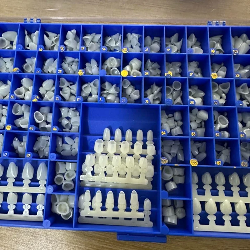 Dental-Premolaar-Backenzähne,  – Teeth Whitening Moulds Bewertung und Preis