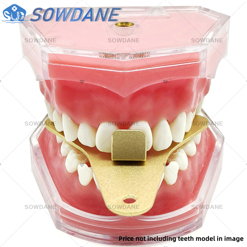 Dentallabor-Abdruckschalen zur – Teeth Whitening Tray Bewertung und Preis