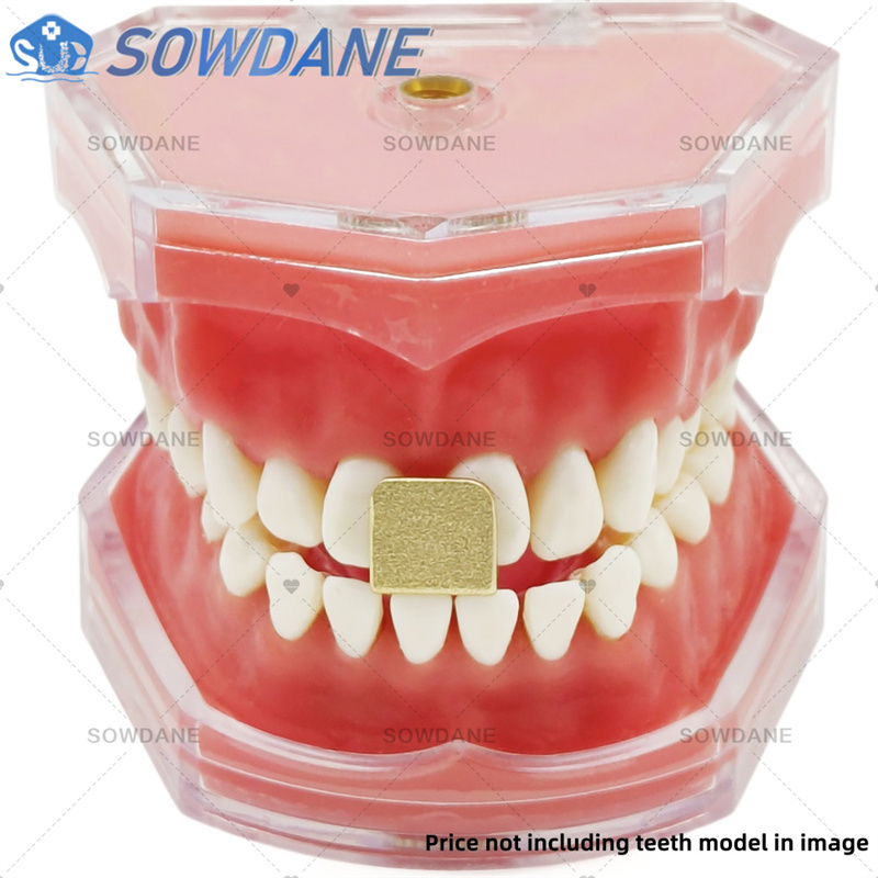 Dentallabor-Abdruckschalen zur – Teeth Whitening Tray Bewertung und Preis