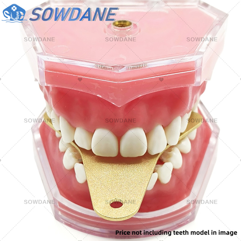 Dentallabor-Abdruckschalen zur – Teeth Whitening Tray Bewertung und Preis