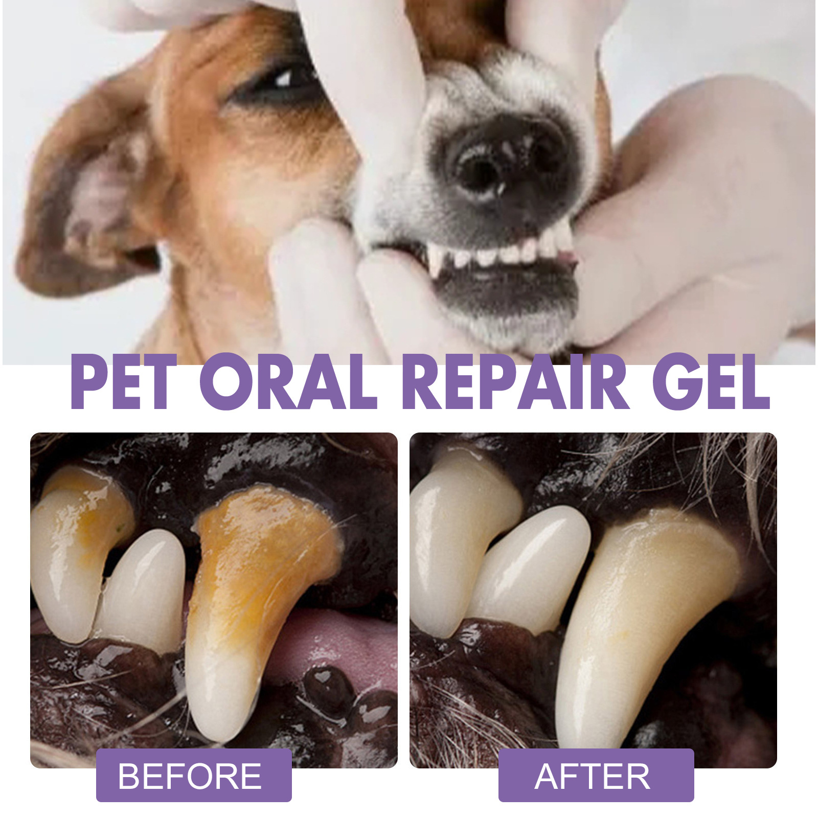 Pet Oral Repair Gel Welpen Zah – Whitening Mouthwash Bewertung und Preis