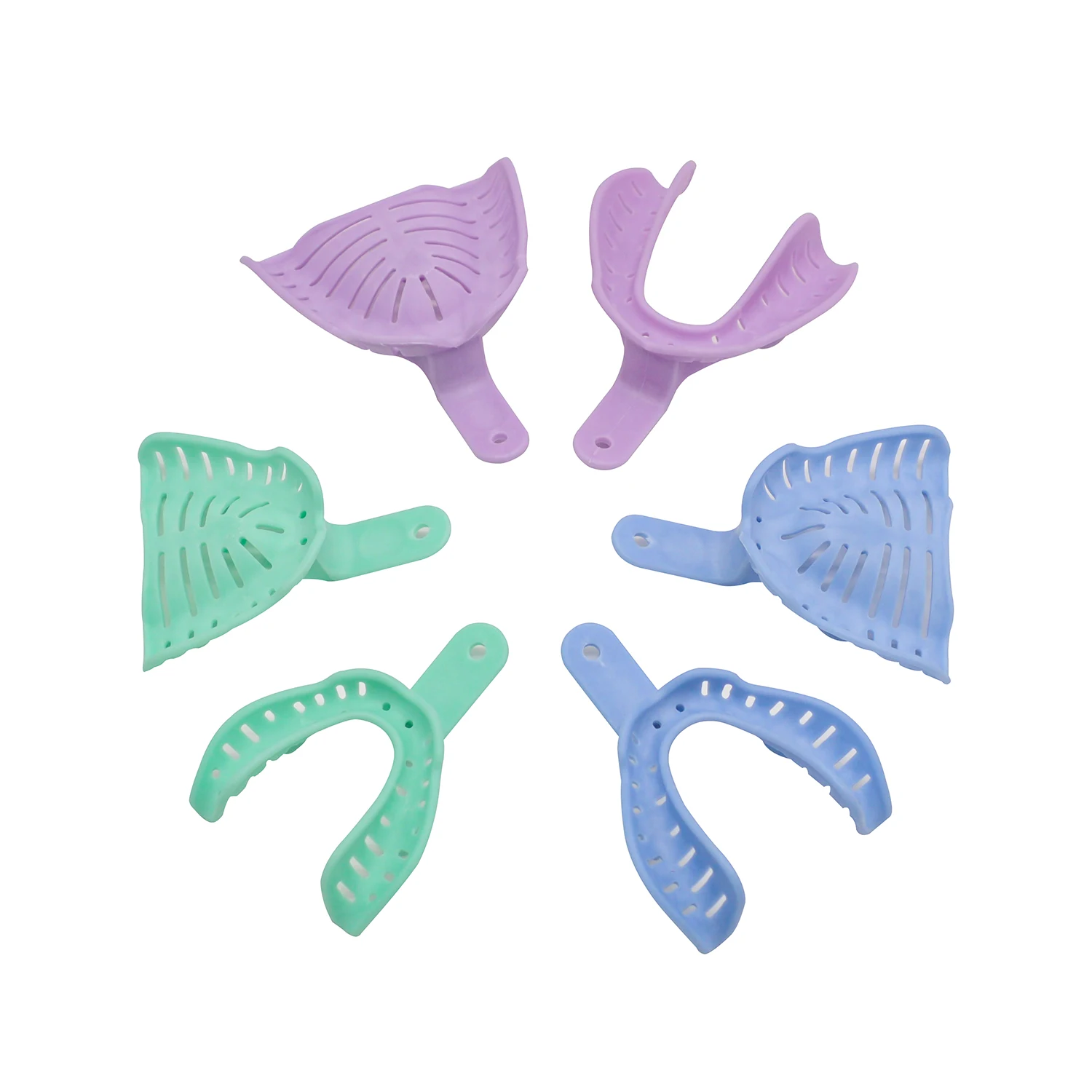 ‌ 6 stücke Dental Labor Abdruc – Teeth Whitening Tray Bewertung und Preis
