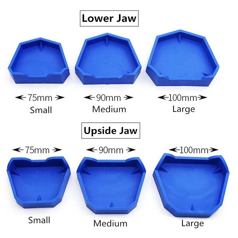6 teile/satz Dental Modell Bas – Teeth Whitening Tray Bewertung und Preis