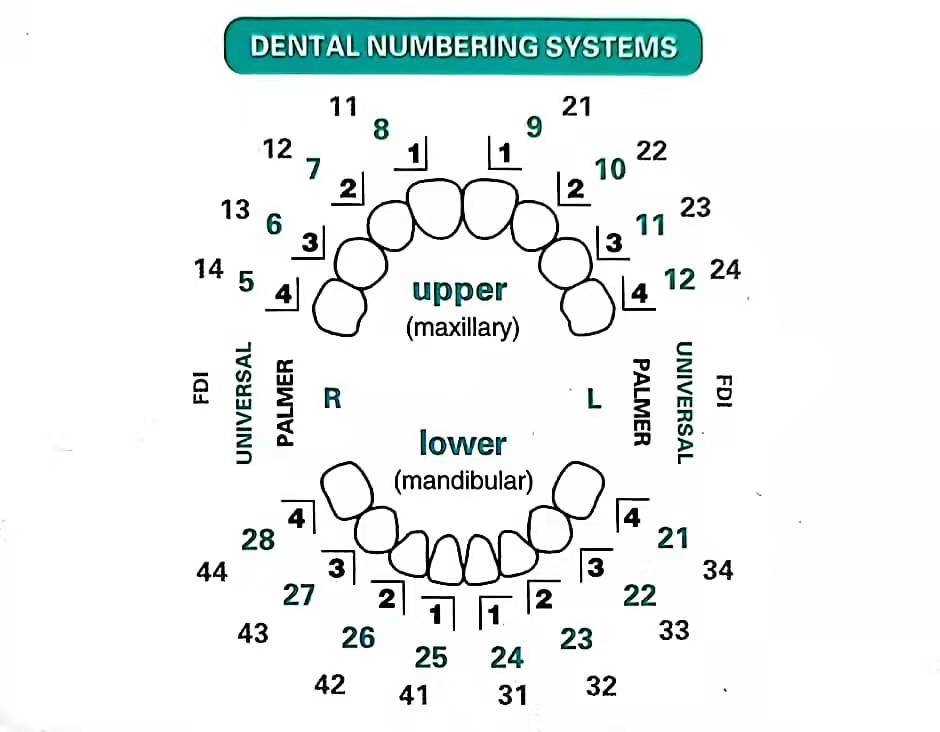 32 teile/satz Dental Furnier F – Teeth Whitening Moulds Bewertung und Preis